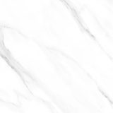 6060AMC15P_03